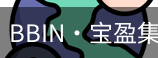 BIN宝盈集团